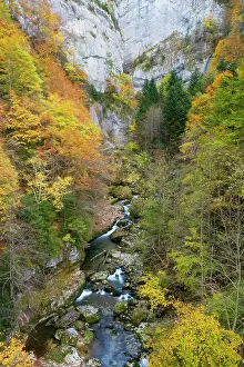 Vercors: Gorges de La Bourne, in the Vercors Mountains, Autumn