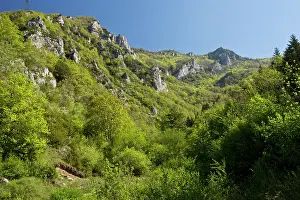 Calcareous: The Gorges de St George Limestone hills above Axat