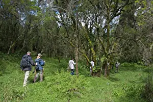 Armed: Gorilla Tourism - trek with tourists and armed guard