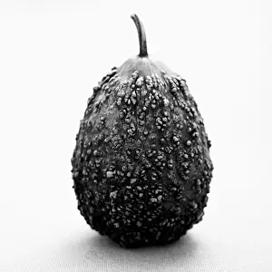 Pepo: Gourd