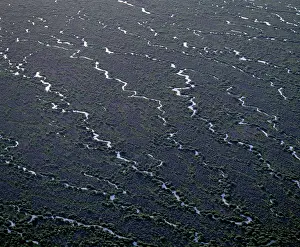 Simpson: Goyder Lagoon Simpson Desert