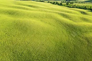 D Orcia: Grain field, drone photo, landscape near San Quirico