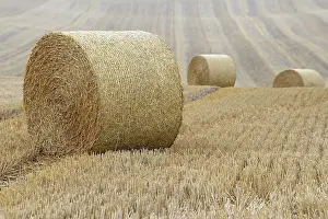 Grain: Grain field, stubble field with round straw bales