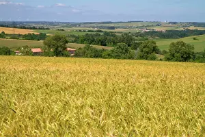 Frazier: Grain field west of Angouleme in southwestern