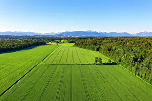 Foothills: Grain fields, cultural landscape near Geretsried
