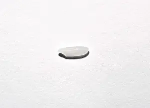 Grained: Grain of Rice
