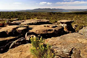 Grampian: Grampian mountain view - view from Reeds Lookout
