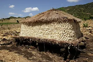Granary: Granary of Maize / Corn / Sweetcorn - storage