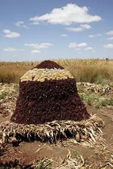 Granary: Granary - Sorghum / Millet - storage