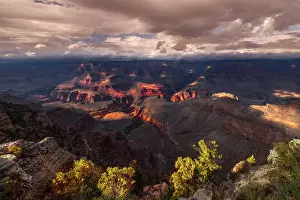 Weathered: Grand Canyon National Park, Arizona