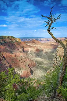Erode: Grand Canyon North Rim, evening light, Arizona
