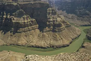 Riparian: Grand Canyon West