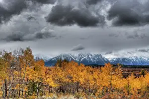 Tetons: Grand Teton Mountains and Autumn (Fall) colour