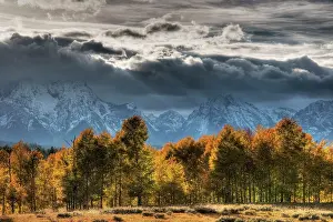 Tetons: Grand Teton Mountains with Autumn (Fall) colour