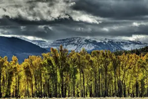 Tetons: Grand Teton Mountains with Autumn (Fall) colourGrand