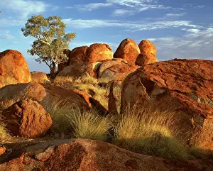 Aboriginal: Granite boulders in Karlwekarlwe Karlu Kalu.(Iround