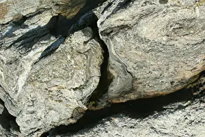 Inclusion: Granite with quartz inclusions