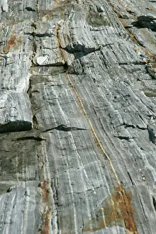 Inclusion: Granite with quartz inclusions