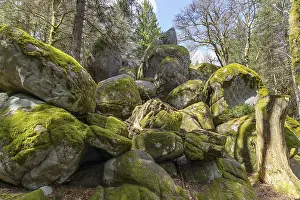 Weathered: Granite rock Gunterfelsen near the source of the Danube