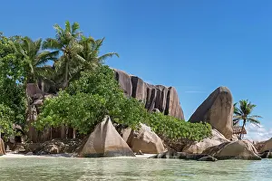 Granite: Granite rocks with palm trees on the beach Anse