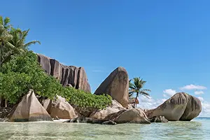 Granite: Granite rocks with palm trees on the beach Anse