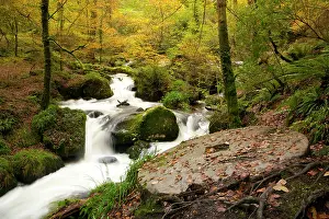 Vale: A Granite Mill Stone beside the water falls in the Kennall V