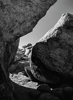 Zandria: Granite Tree National Park, California