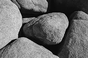 Zandria: Granite Tree National Park, California