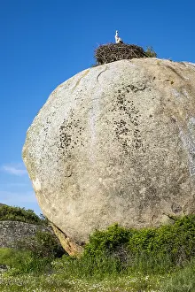 Ciconia: Granitic formations and nests of white storks (Ciconia