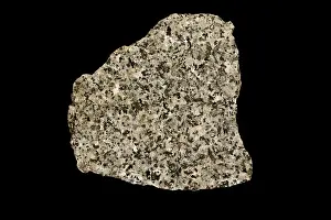 Coarse: Granodiorite
