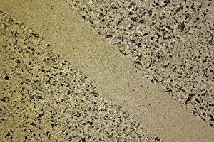 Dyke: Granodiorite with aplite dyke
