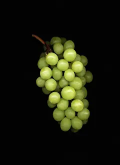 Silky: Grape