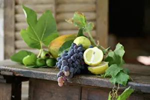 Shutter: Grape