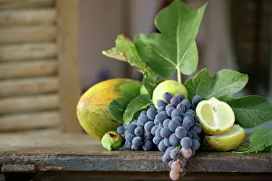 Opulent: Grape