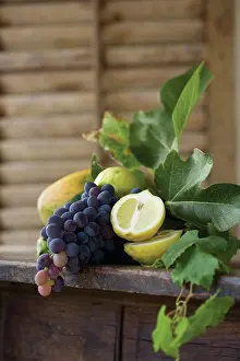 Shutter: Grape