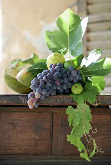 Shutter: Grape
