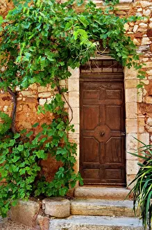Step: Grapevine surrounding front door to home