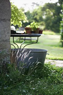 Unsophisticated: Grass