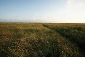 Loads: Grass