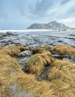 Flakstad: Grass on the boulders near Utakleiv beach
