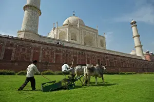 Pulling: Grass cutting