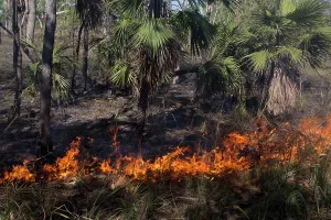 Fires: Grass fire Peppimenarti Community Northern Territory