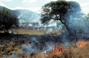 Wildfire: GRASS FIRE - SOUTH AFRICA