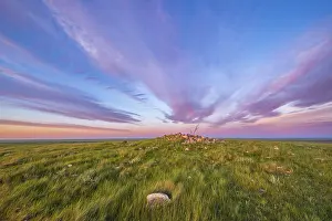 Alberta: Grassland landscape at sunset with a vibrant