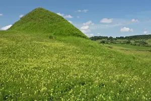 Sward: Grassland Mounds / Trumps with flowers Apold, Transylvanian