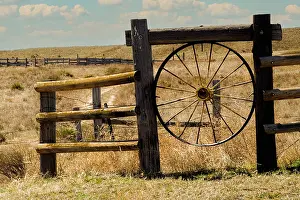 Wheel: Grasslands landscape