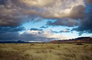 Portal: Grasslands and mountains near Portal on the Arizona