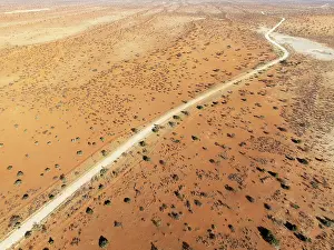 Dune: Gravel road in the Kalahari Desert with its linear sand dunes grown with camelthorn trees (Vachellia erioloba)