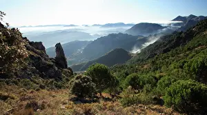 Grazalema: Grazalema National Park - mountains with morning mist