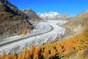 Blaze: Great Aletsch Glacier and Wannenhorns, Valais, Switzerland